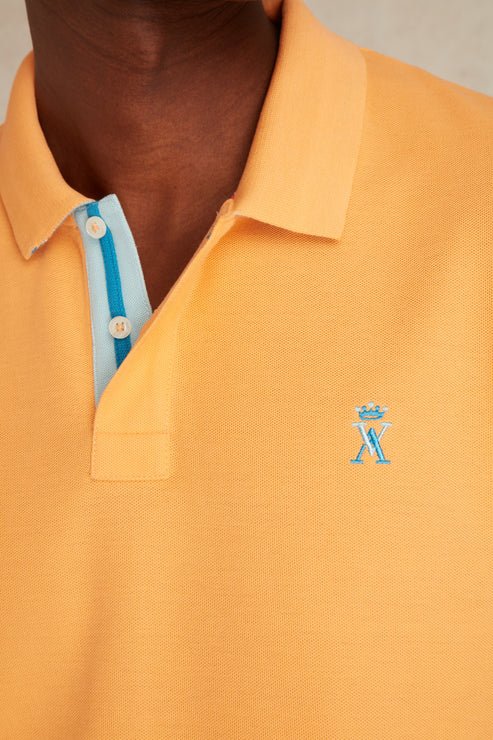 Featured image for “Polo à Détails Bicolore Vicomte Arthur”