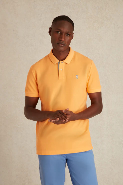 Featured image for “Polo à Détails Bicolore Vicomte Arthur”